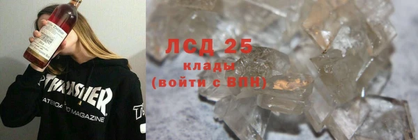 хмурый Абаза
