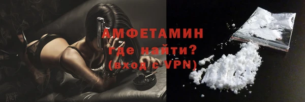 хмурый Абаза