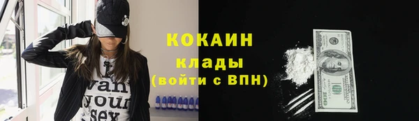 хмурый Абаза
