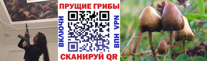 где купить наркоту  Чулым  ссылка на мегу ссылки  Псилоцибиновые грибы ЛСД 